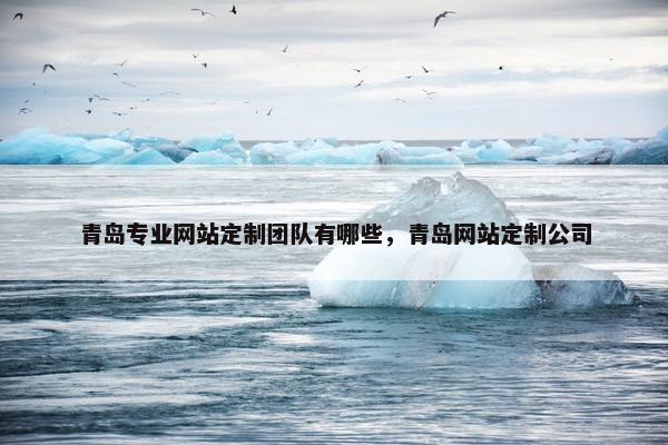 青岛专业网站定制团队有哪些，青岛网站定制公司