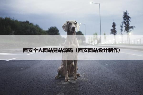 西安个人网站建站源码（西安网站设计制作）