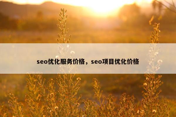 seo优化服务价格，seo项目优化价格
