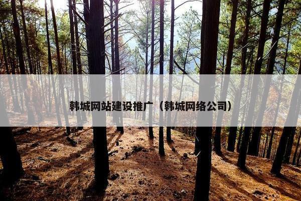 韩城网站建设推广（韩城网络公司）