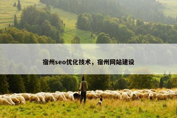 宿州seo优化技术，宿州网站建设