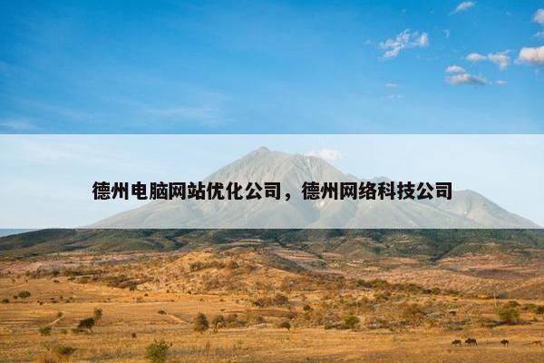 德州电脑网站优化公司，德州网络科技公司