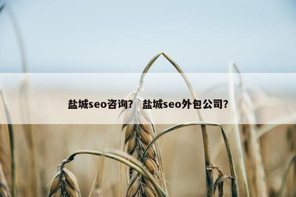 盐城seo咨询？ 盐城seo外包公司？