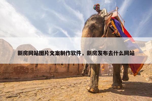 新房网站图片文案制作软件，新房发布去什么网站