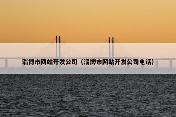 淄博市网站开发公司（淄博市网站开发公司电话）