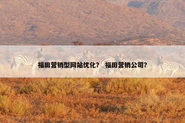 福田营销型网站优化？ 福田营销公司？