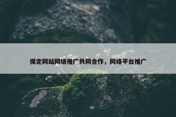 保定网站网络推广共同合作，网络平台推广