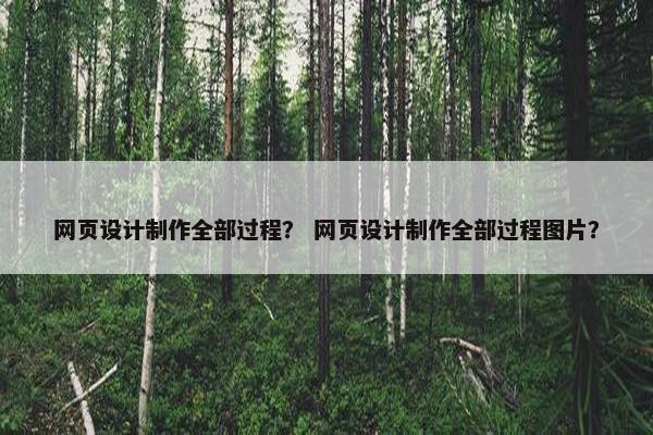 网页设计制作全部过程？ 网页设计制作全部过程图片？