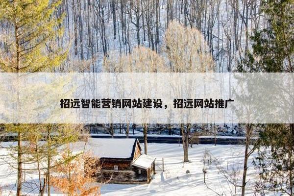招远智能营销网站建设，招远网站推广
