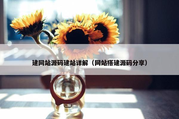 建网站源码建站详解（网站搭建源码分享）