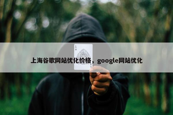 上海谷歌网站优化价格，google网站优化