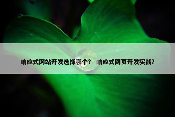 响应式网站开发选择哪个？ 响应式网页开发实战？