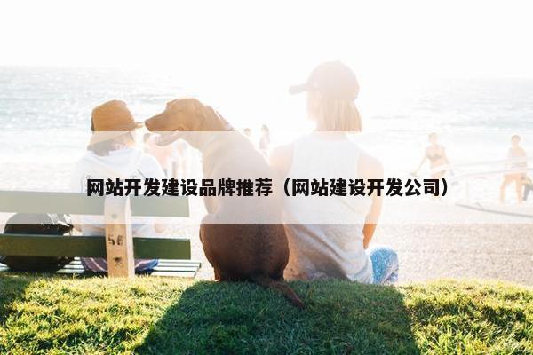 网站开发建设品牌推荐（网站建设开发公司）