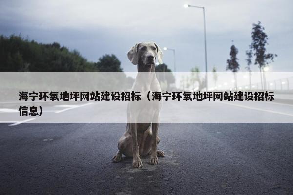 海宁环氧地坪网站建设招标（海宁环氧地坪网站建设招标信息）