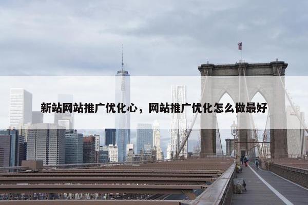 新站网站推广优化心，网站推广优化怎么做最好