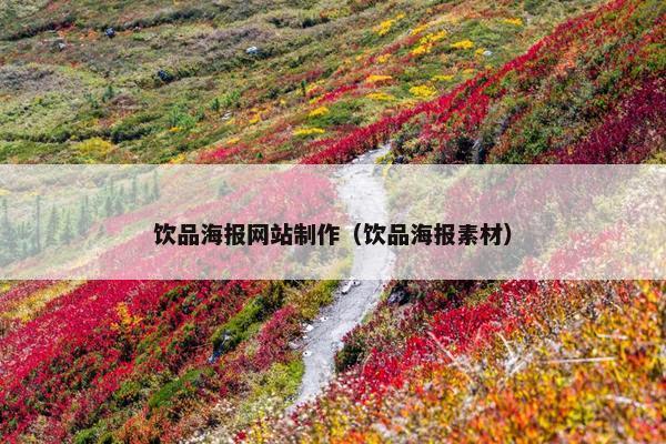 饮品海报网站制作（饮品海报素材）