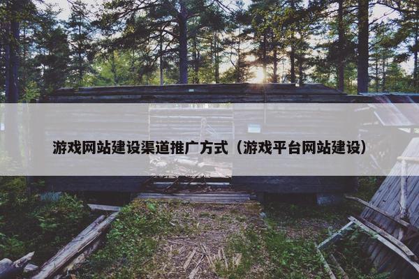游戏网站建设渠道推广方式（游戏平台网站建设）