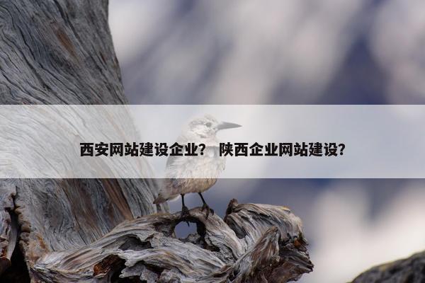 西安网站建设企业？ 陕西企业网站建设？
