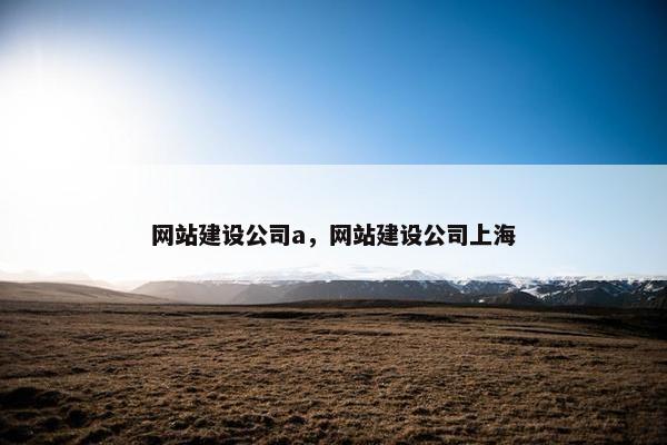 网站建设公司a，网站建设公司上海