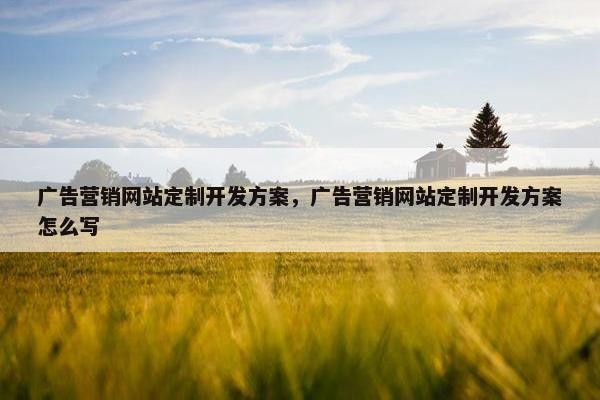 广告营销网站定制开发方案，广告营销网站定制开发方案怎么写