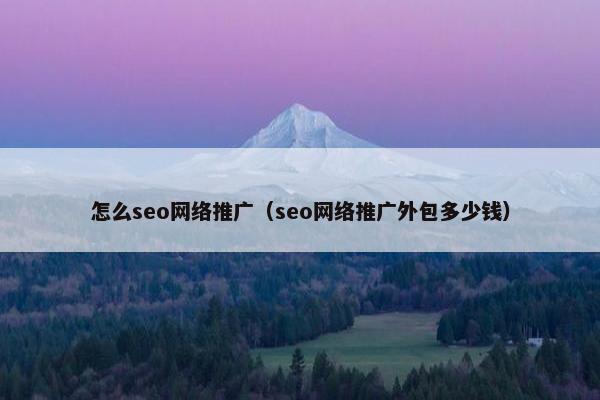 怎么seo网络推广（seo网络推广外包多少钱）