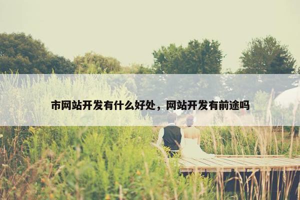 市网站开发有什么好处，网站开发有前途吗