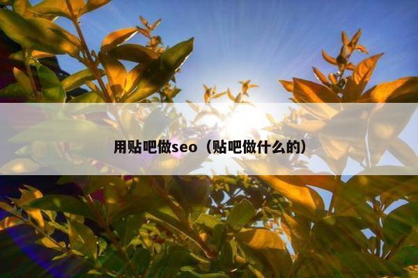 用贴吧做seo（贴吧做什么的）