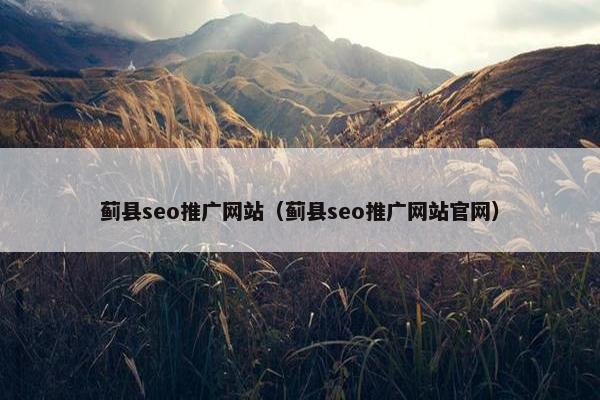 蓟县seo推广网站（蓟县seo推广网站官网）
