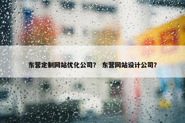 东营定制网站优化公司？ 东营网站设计公司？
