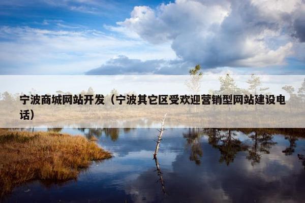 宁波商城网站开发（宁波其它区受欢迎营销型网站建设电话）