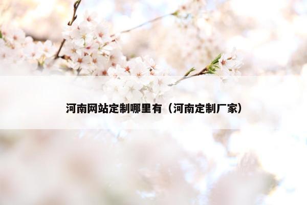 河南网站定制哪里有（河南定制厂家）