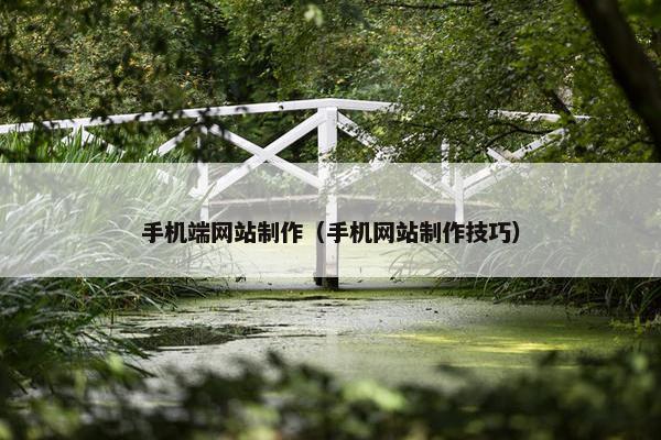 手机端网站制作（手机网站制作技巧）