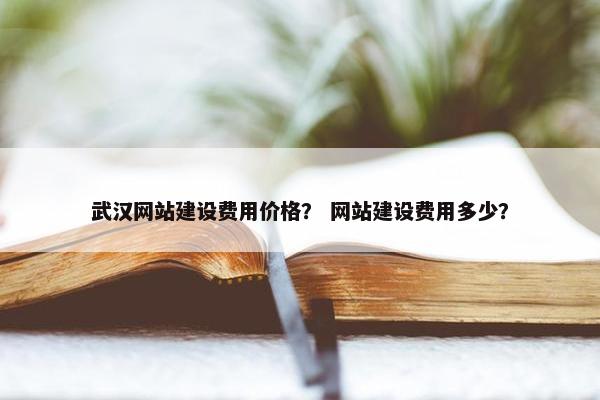武汉网站建设费用价格？ 网站建设费用多少？