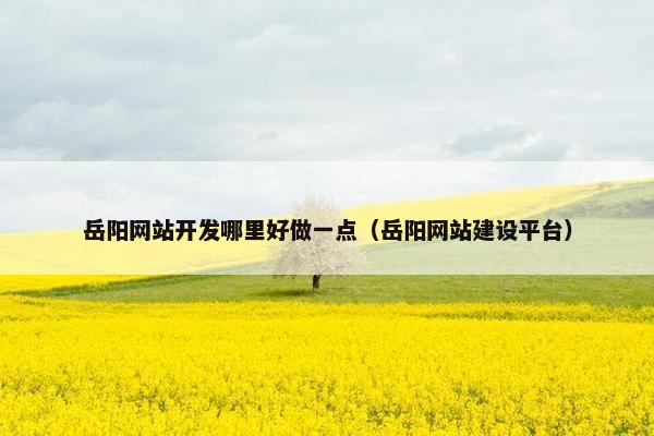 岳阳网站开发哪里好做一点（岳阳网站建设平台）