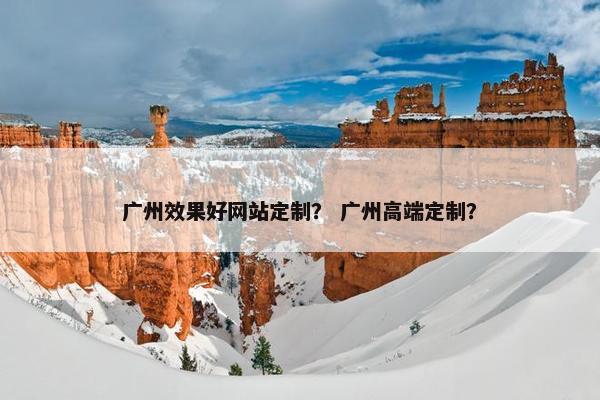 广州效果好网站定制？ 广州高端定制？