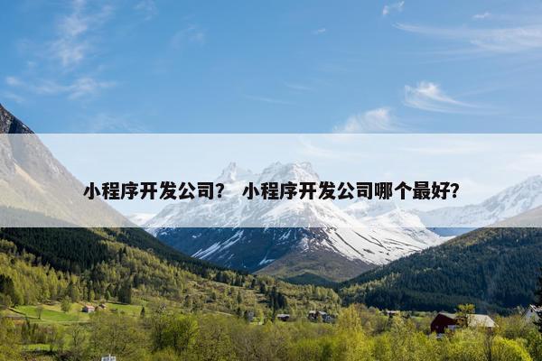 小程序开发公司？ 小程序开发公司哪个最好？