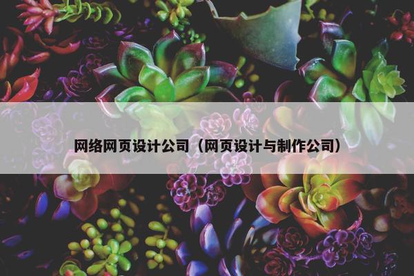 网络网页设计公司（网页设计与制作公司）