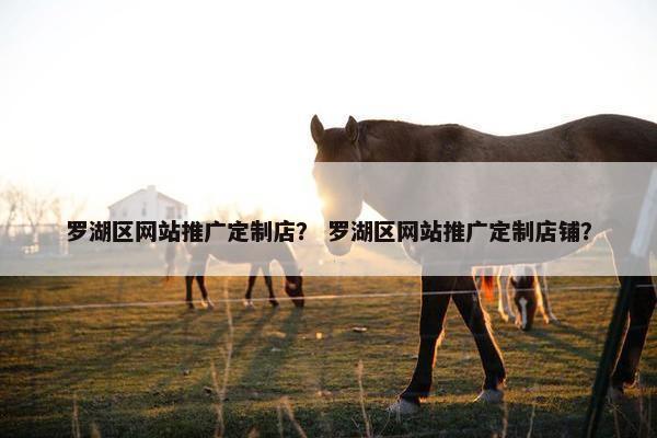 罗湖区网站推广定制店？ 罗湖区网站推广定制店铺？