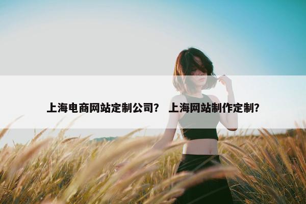上海电商网站定制公司？ 上海网站制作定制？
