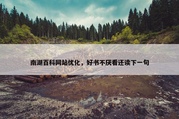 南湖百科网站优化，好书不厌看还读下一句