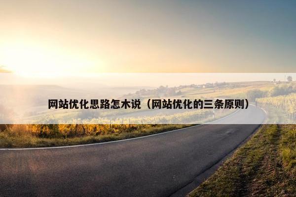 网站优化思路怎木说（网站优化的三条原则）