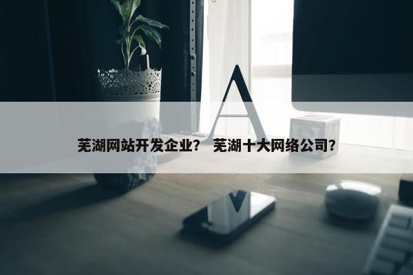 芜湖网站开发企业？ 芜湖十大网络公司？