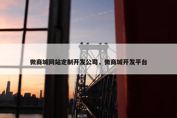 微商城网站定制开发公司，微商城开发平台