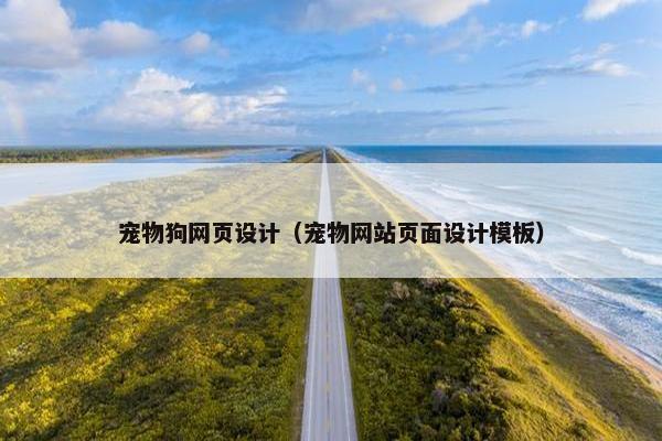 宠物狗网页设计（宠物网站页面设计模板）