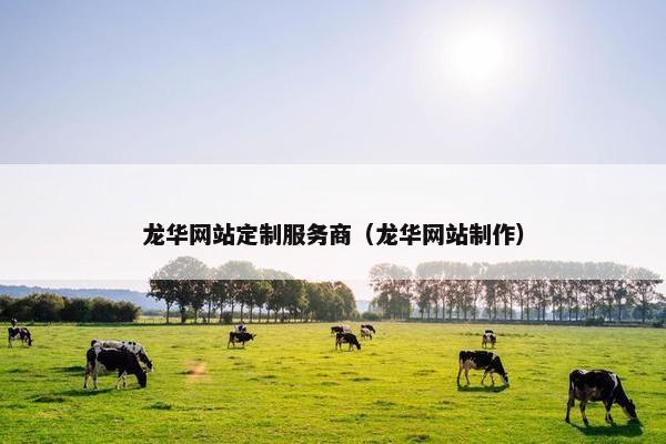 龙华网站定制服务商（龙华网站制作）