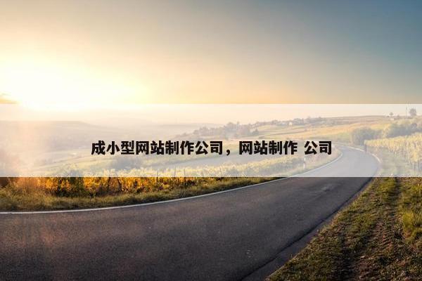 成小型网站制作公司，网站制作 公司