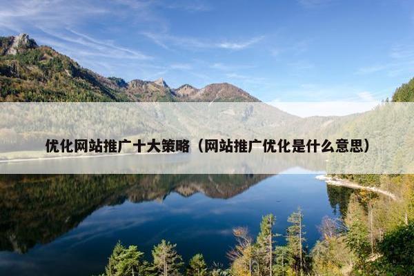 优化网站推广十大策略（网站推广优化是什么意思）