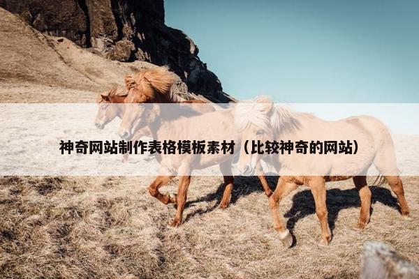 神奇网站制作表格模板素材（比较神奇的网站）