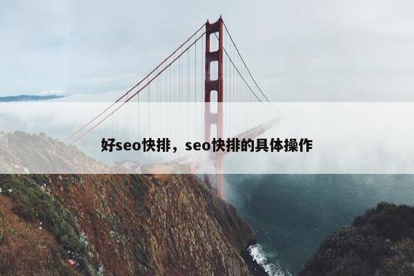 好seo快排，seo快排的具体操作