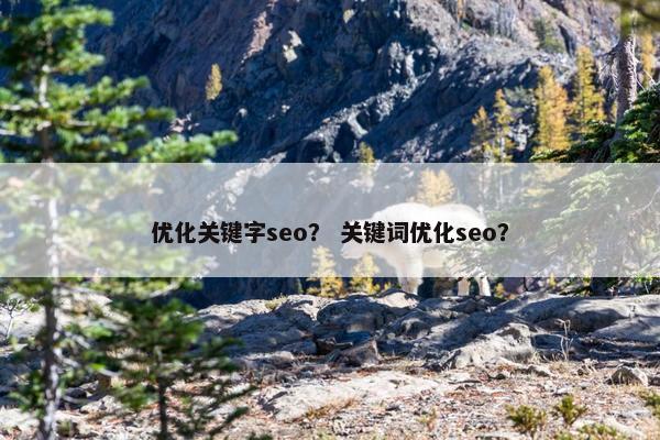 优化关键字seo？ 关键词优化seo？